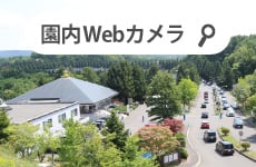 真駒内 滝野 霊園 web 販売 カメラ