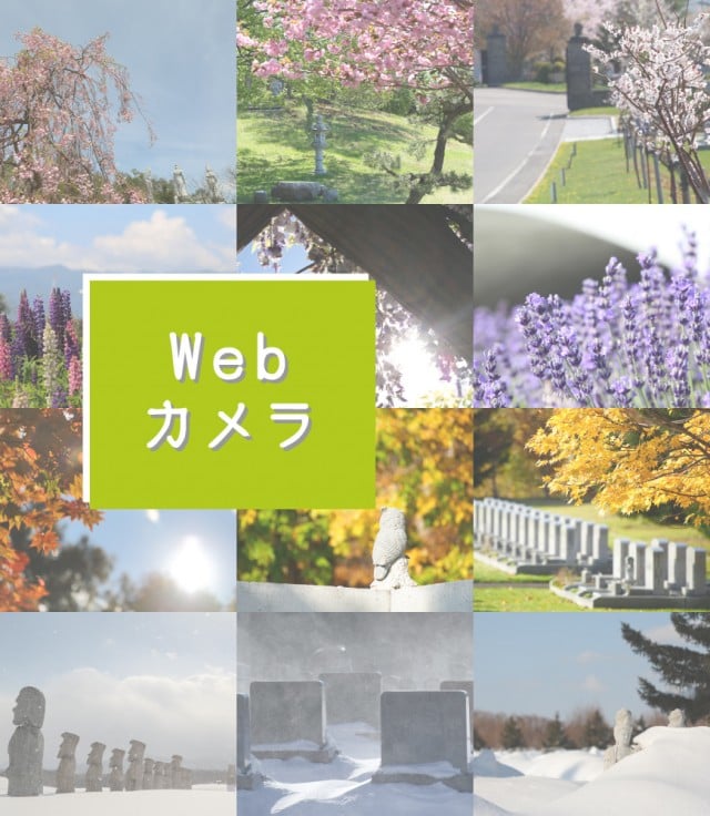 真駒内 滝野 霊園 web カメラ